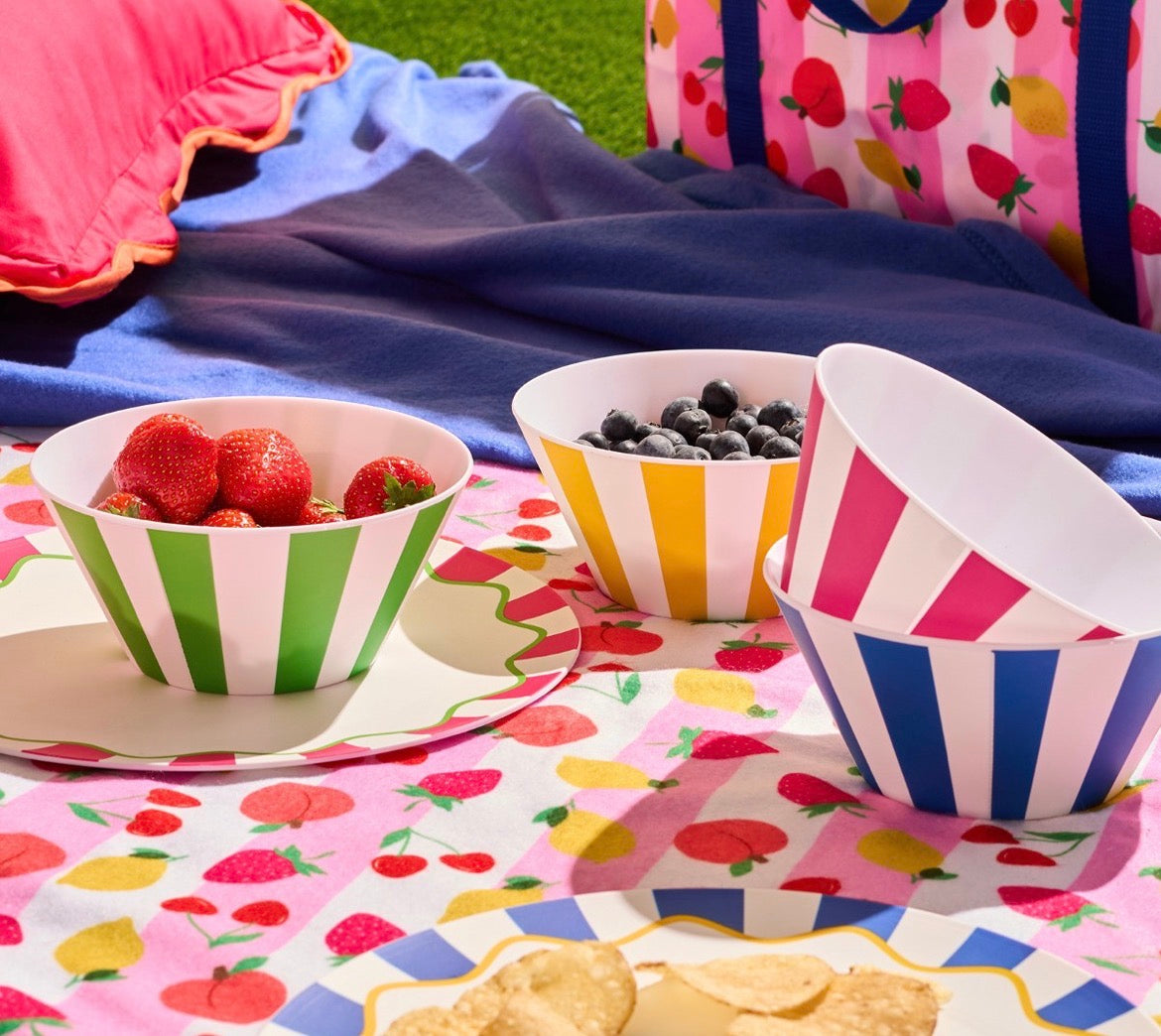 4 Plastic Picnic Bowls
