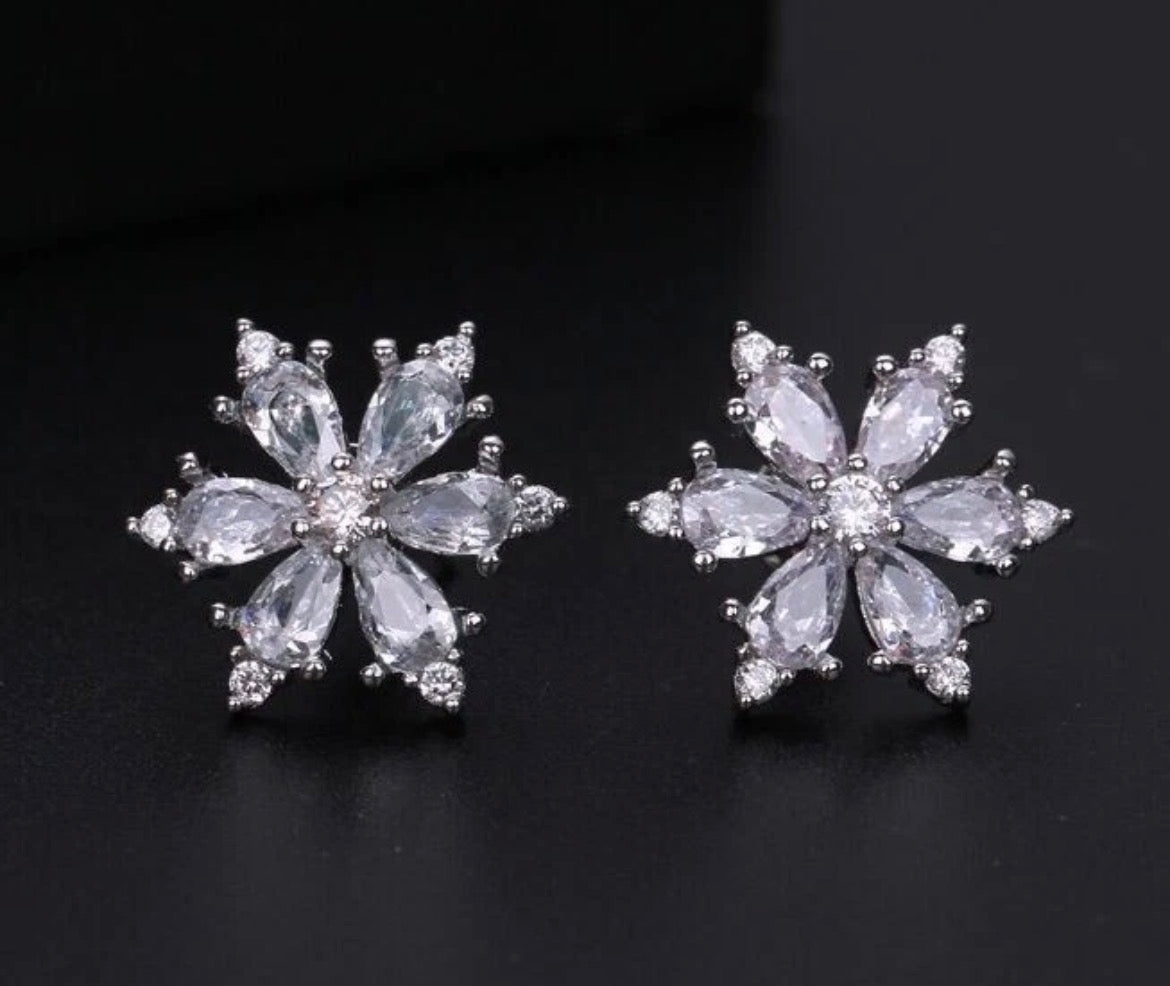 925 Sterling Silver Earrings