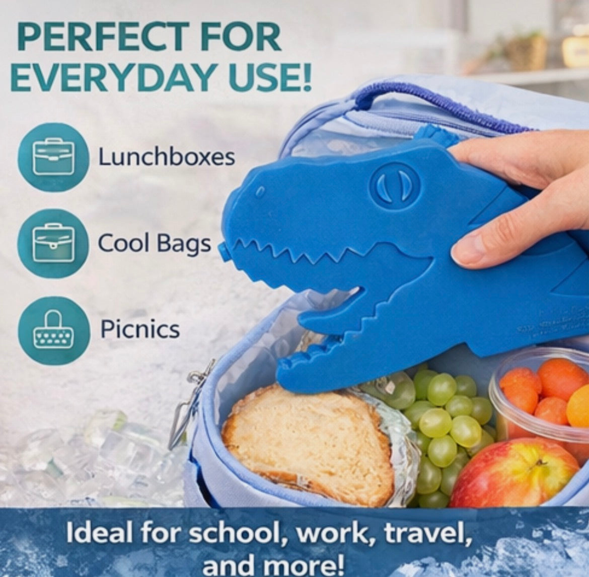 Ice Block for Kids Lunch Box