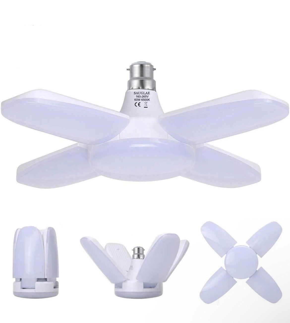 Fan Light
