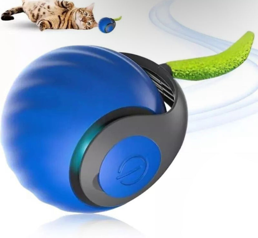Speedy Tail Cat Toy