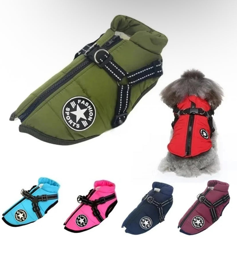Dog Coat