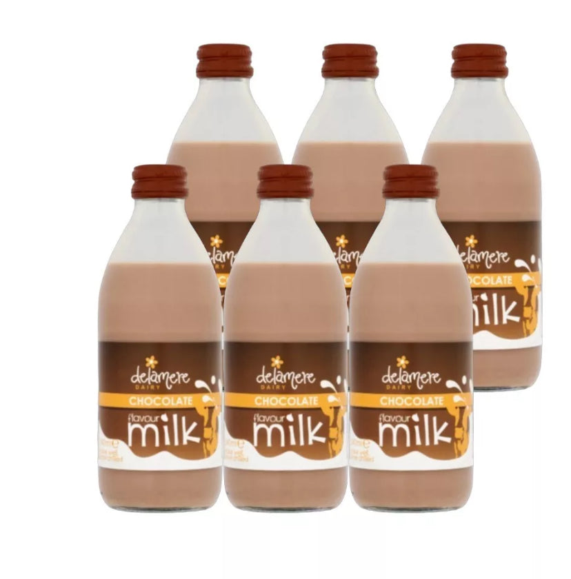 Chocolate Milk x 6
