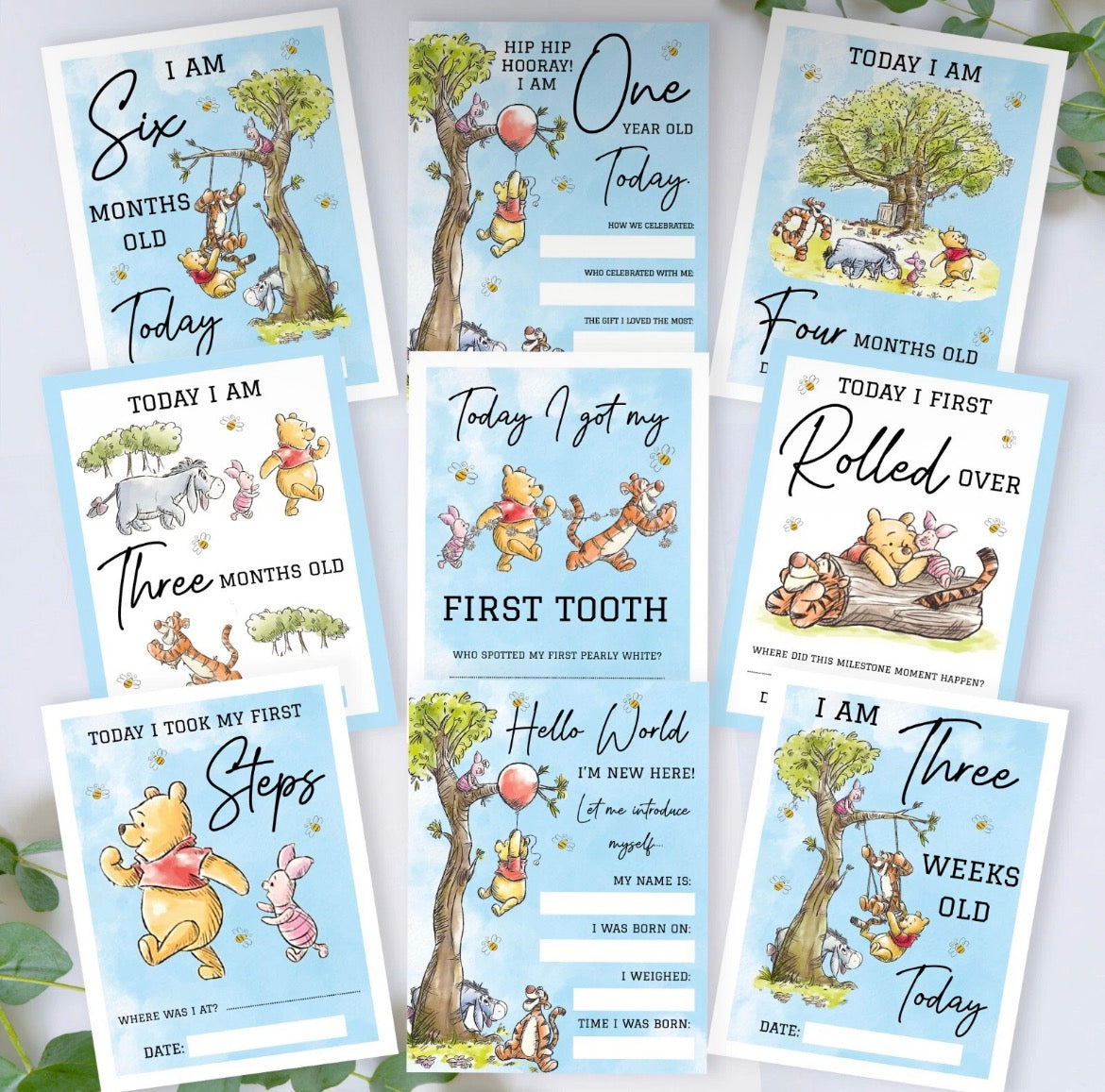 Baby Milestone Cards