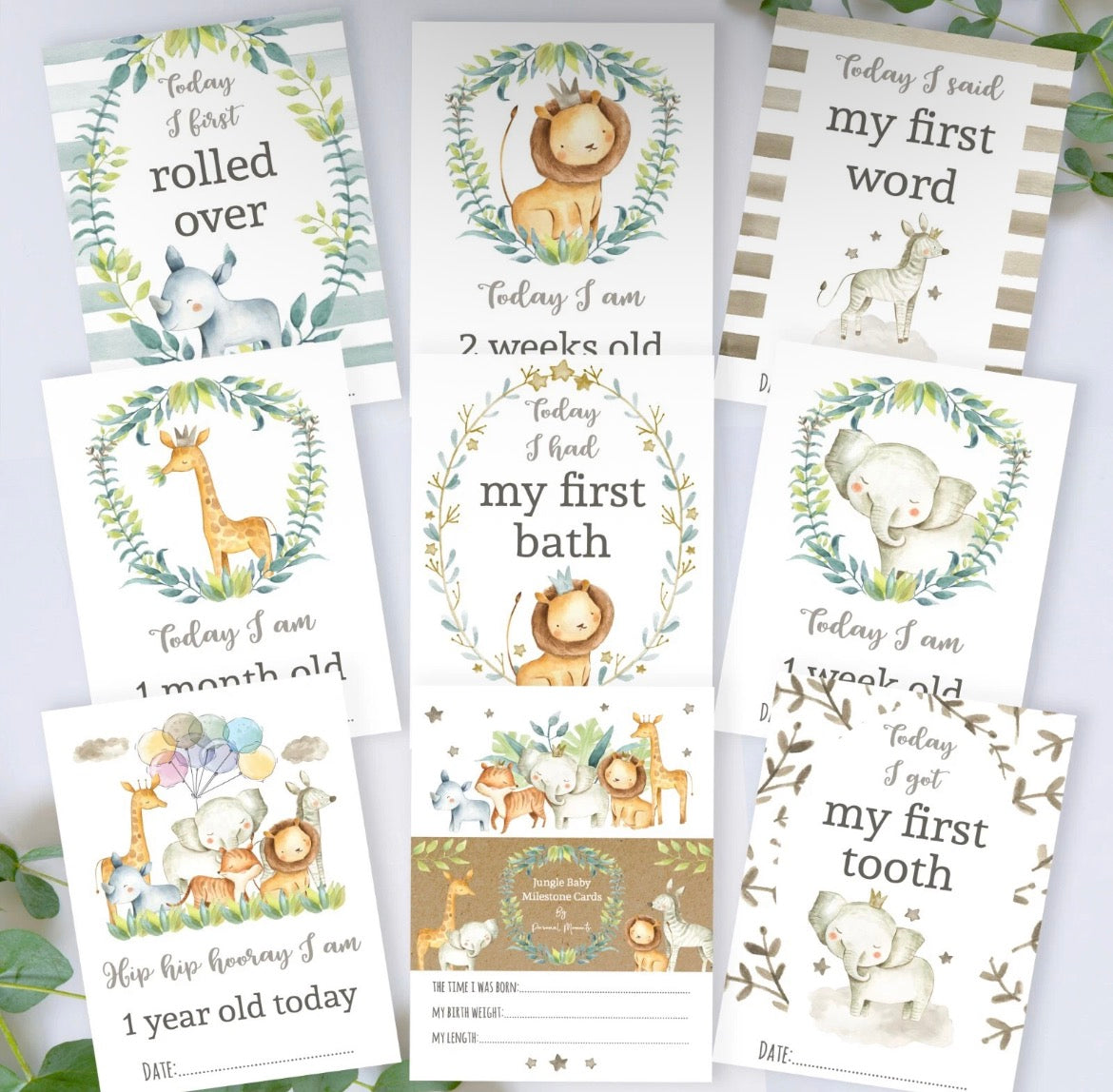 Baby Milestone Cards