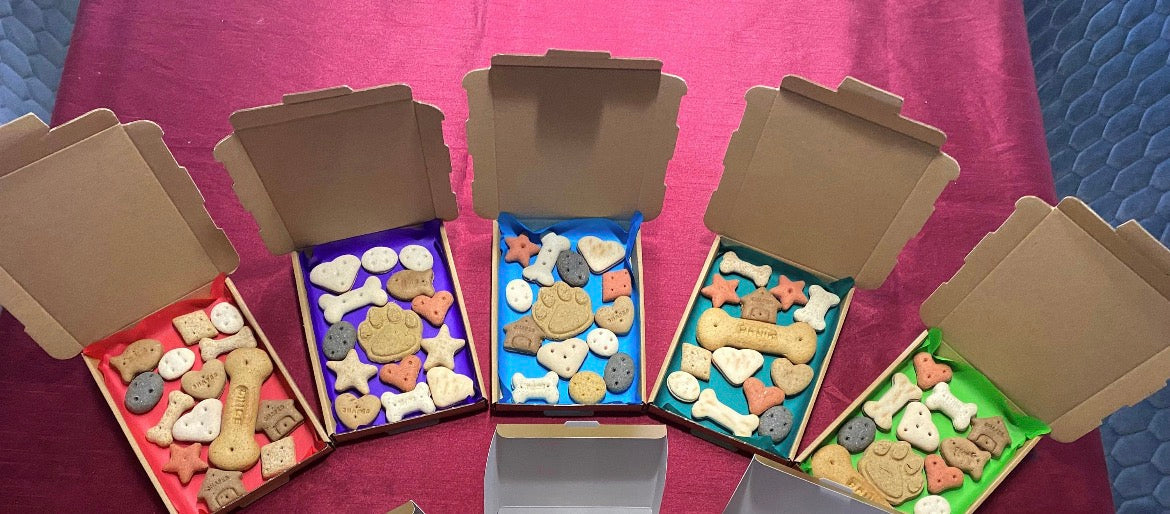 Dog Treat Box