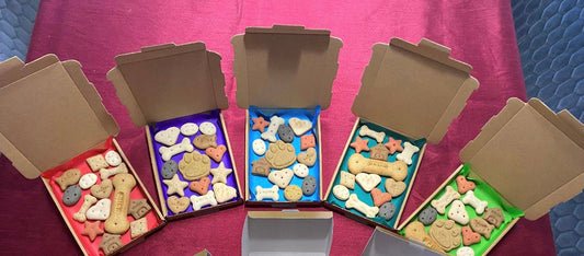 Dog Treat Box