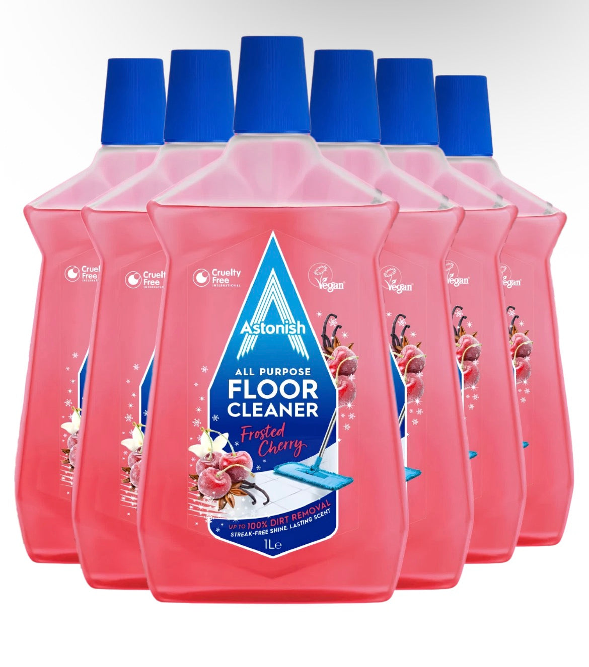 6 x Floor Cleaner