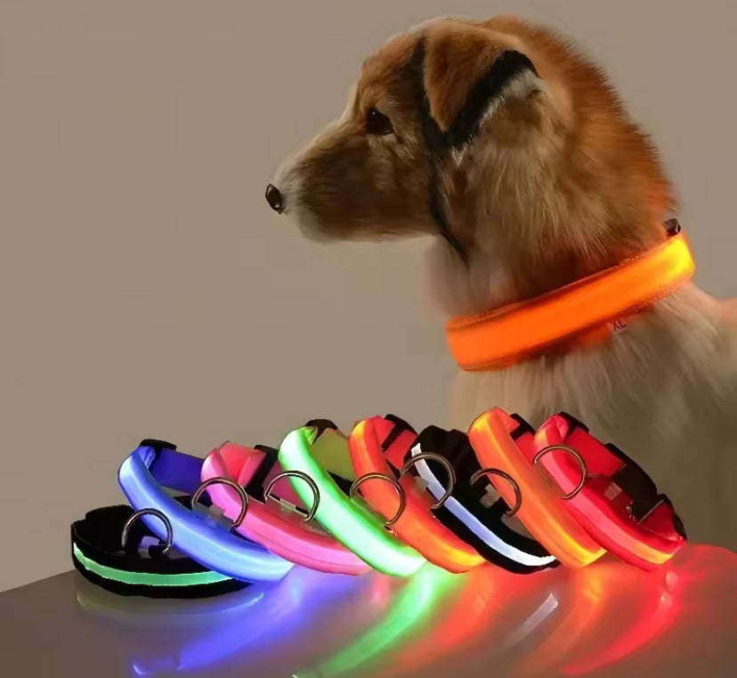 Light Up Dog Collar