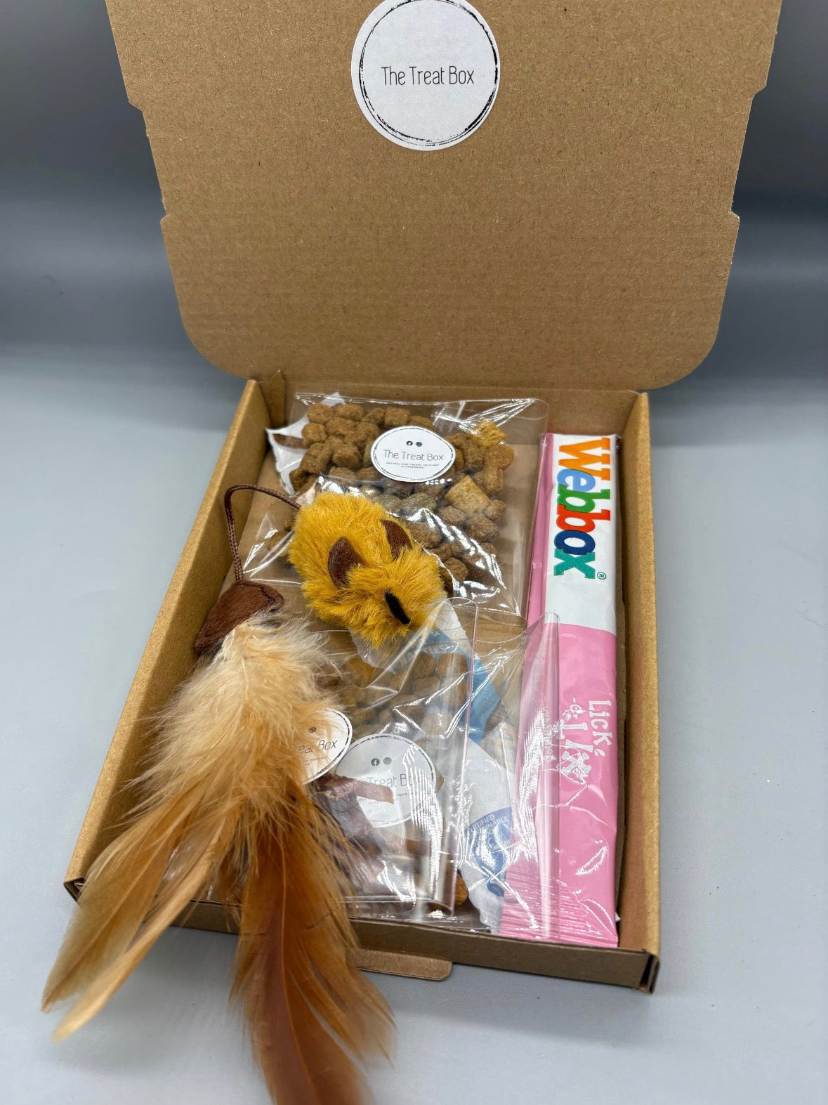 Cat Gift Box