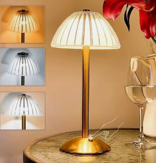 LED Table Lamp USB Rechargeable Lamp