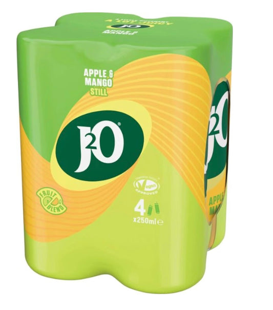 J20
