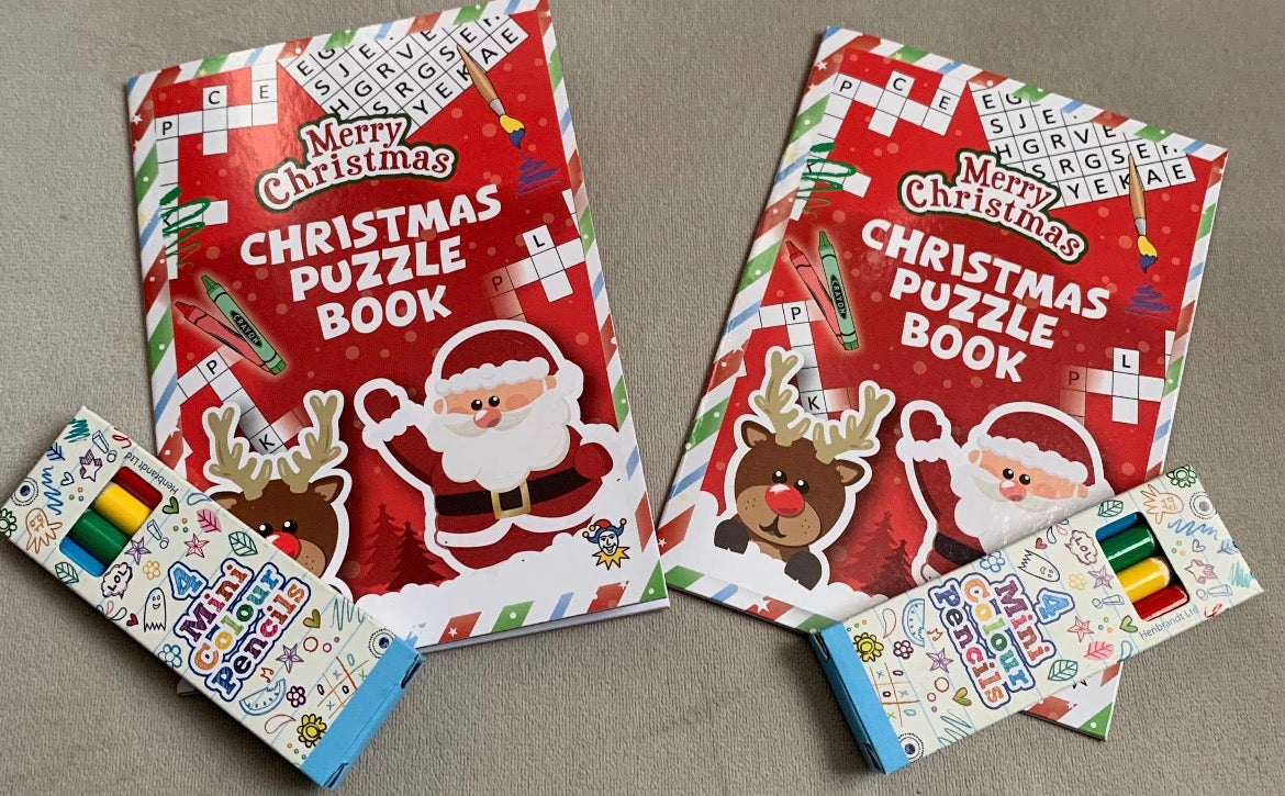 2 x Christmas Puzzle Books