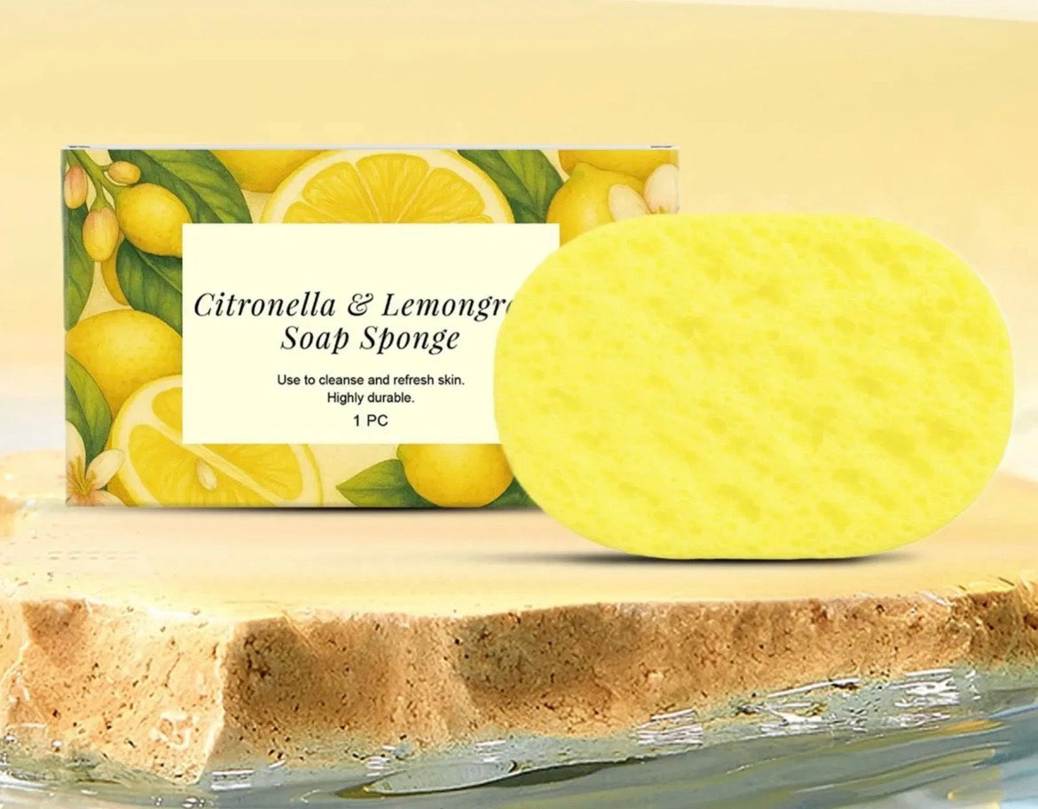 Soap Sponge