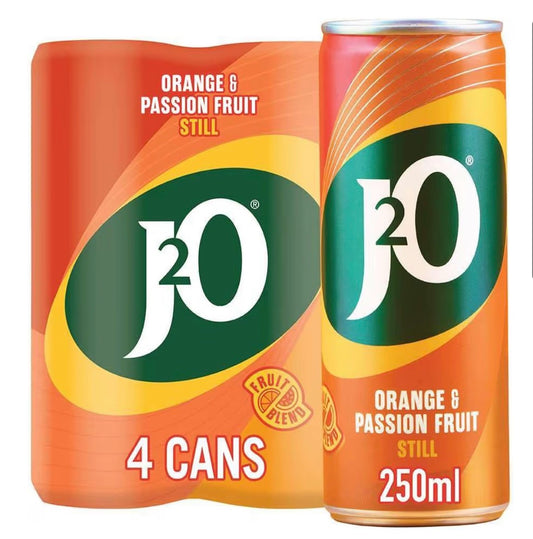J20
