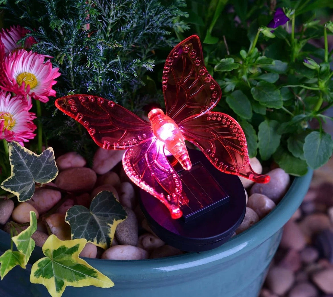Solar LED Butterfly