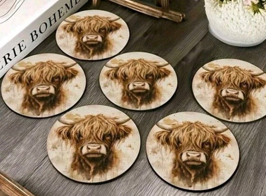 6pc Coasters