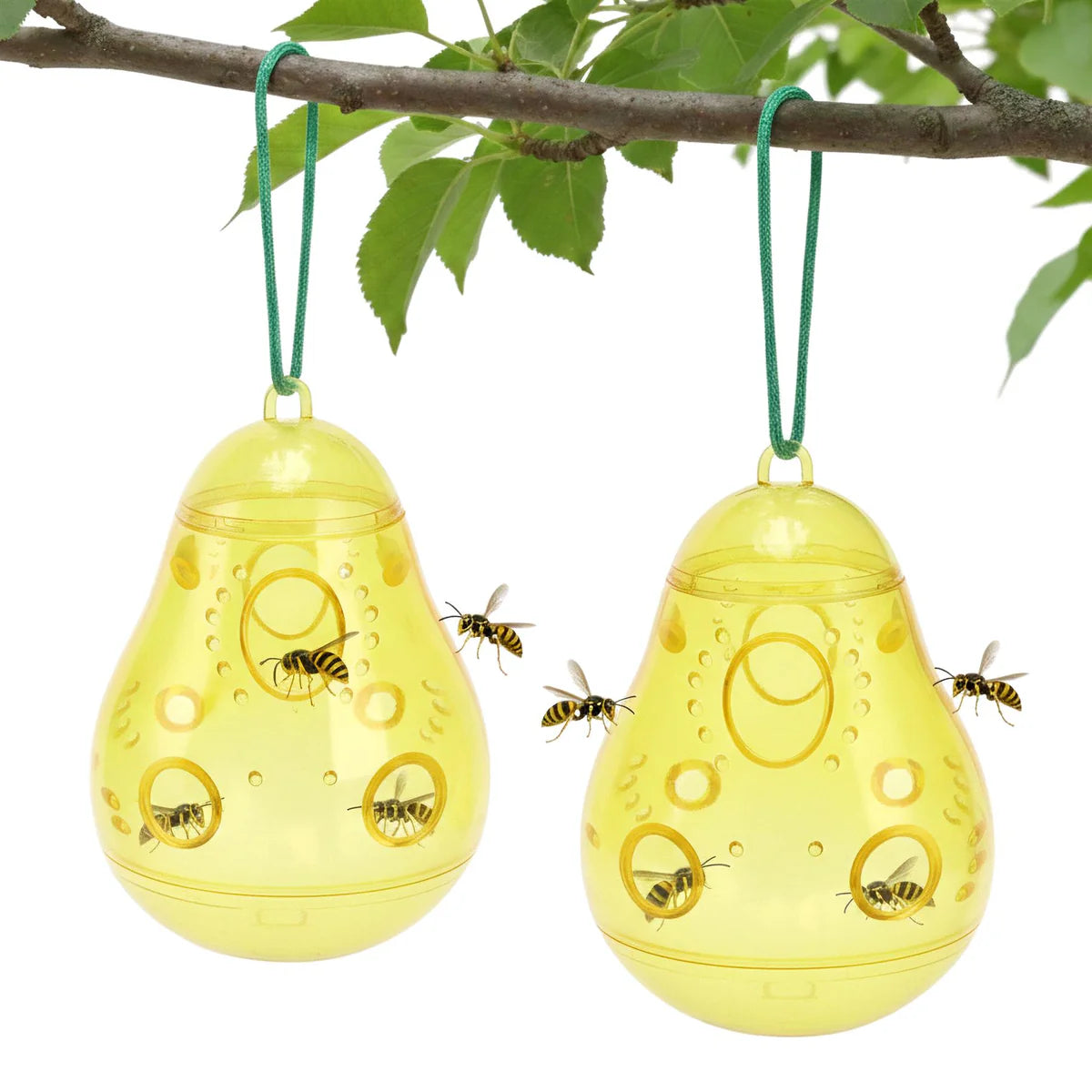 Set of 2 Wasps Traps