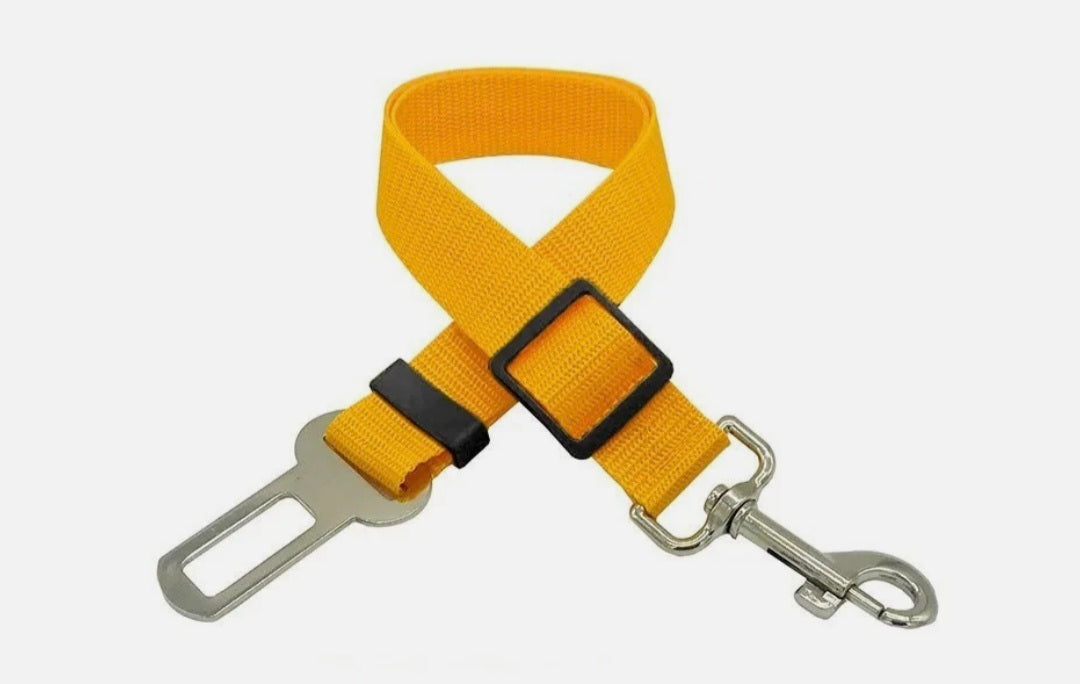 Dog Seat Belt