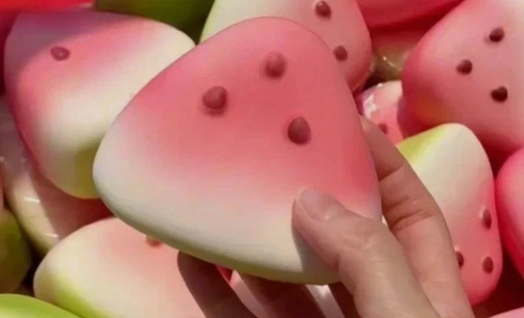 Watermelon Sensory Fidget Toy