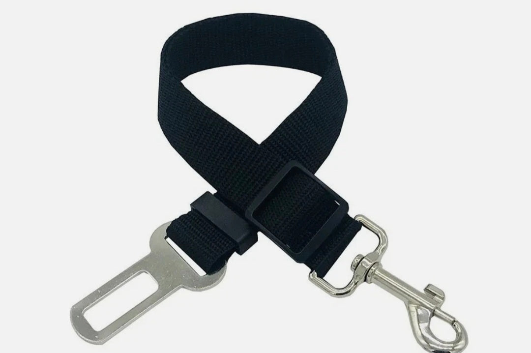 Dog Seat Belt