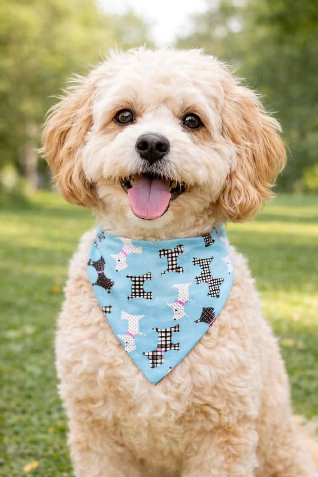 Elasticated Dog Bandana