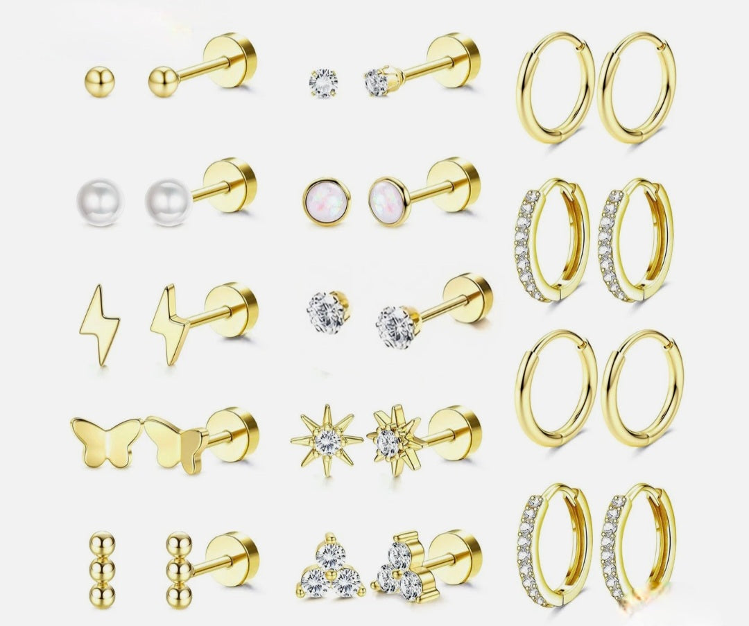 14 Pairs Earrings