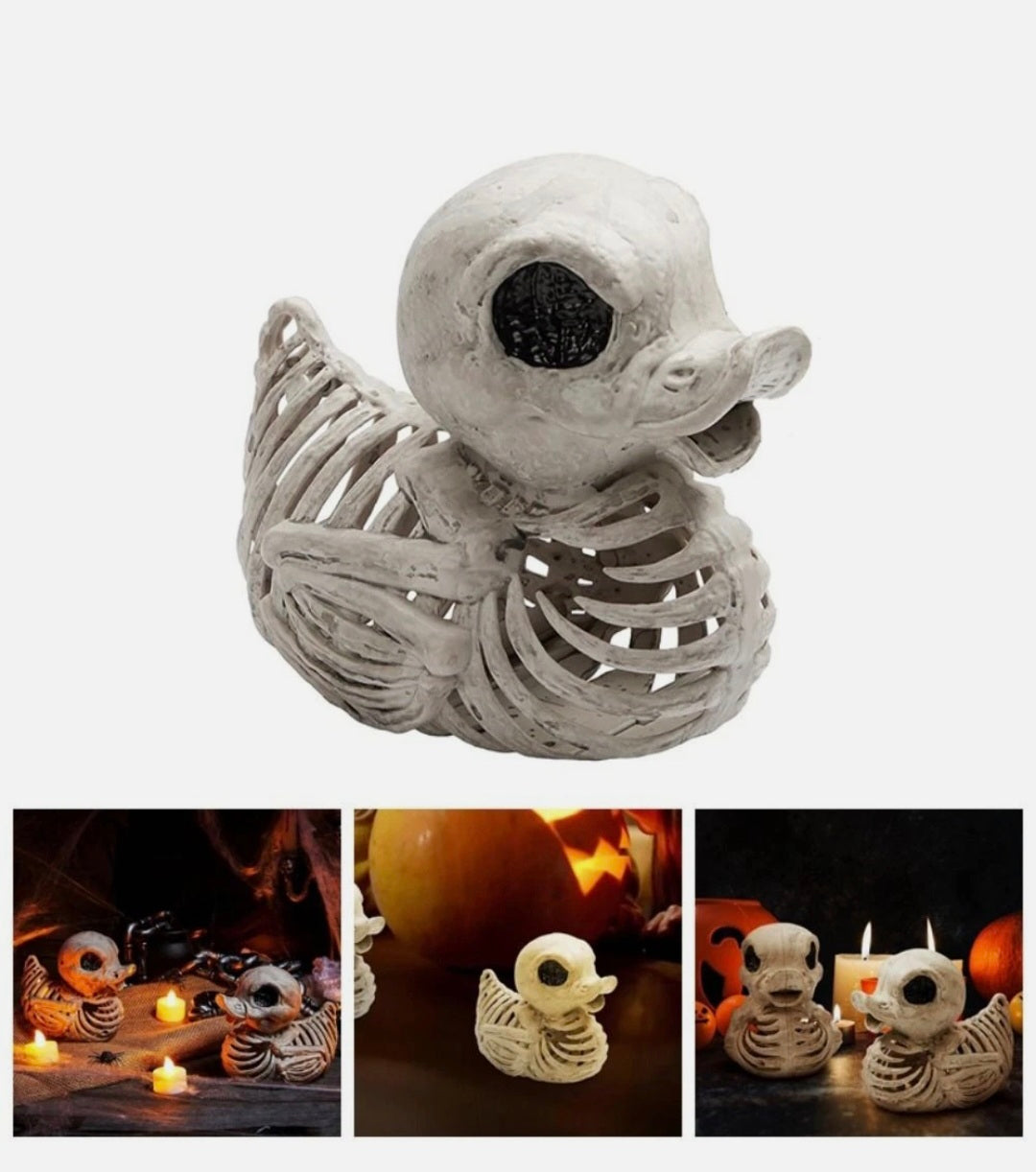 Skeleton Duck