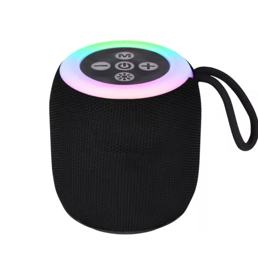 Portable Bluetooth Speaker