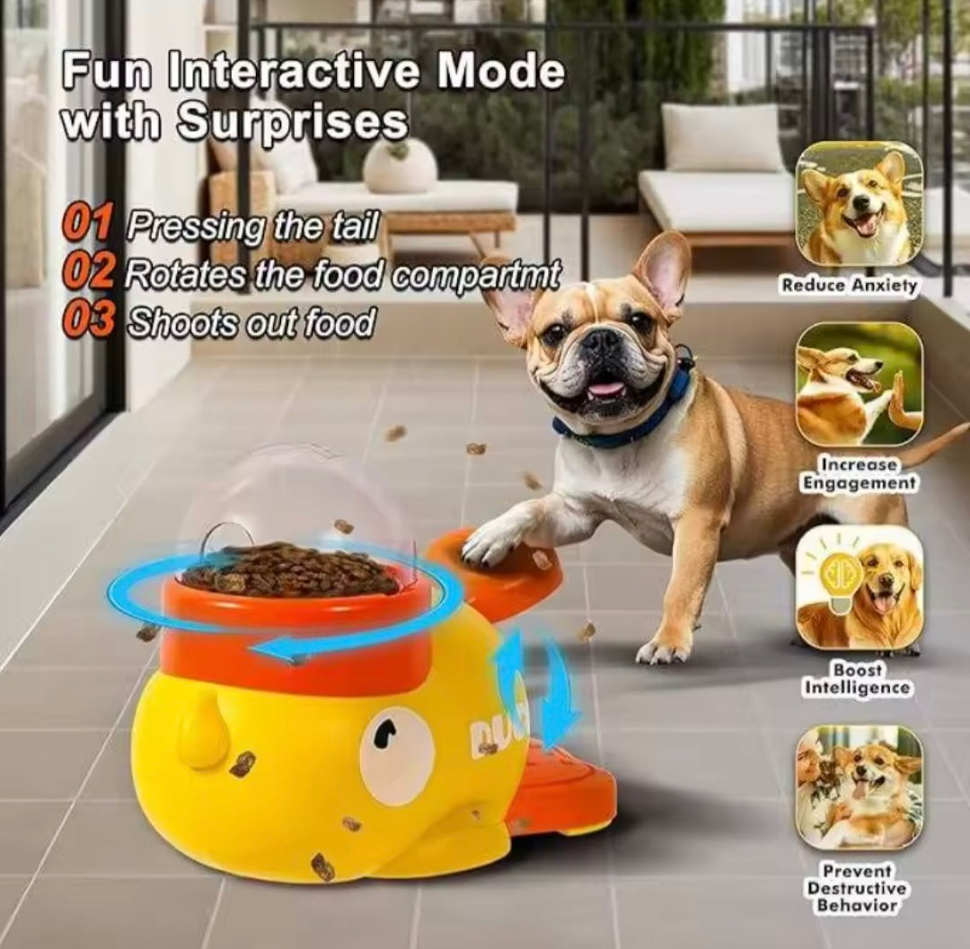 Pet Feeder