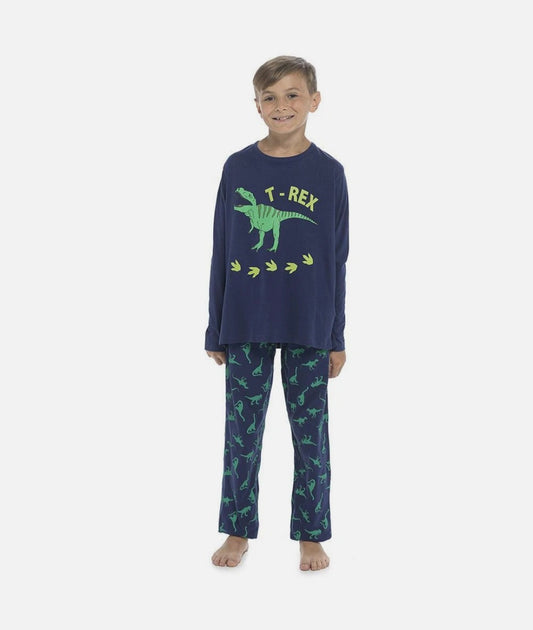 Boys Dinosaur Pyjamas