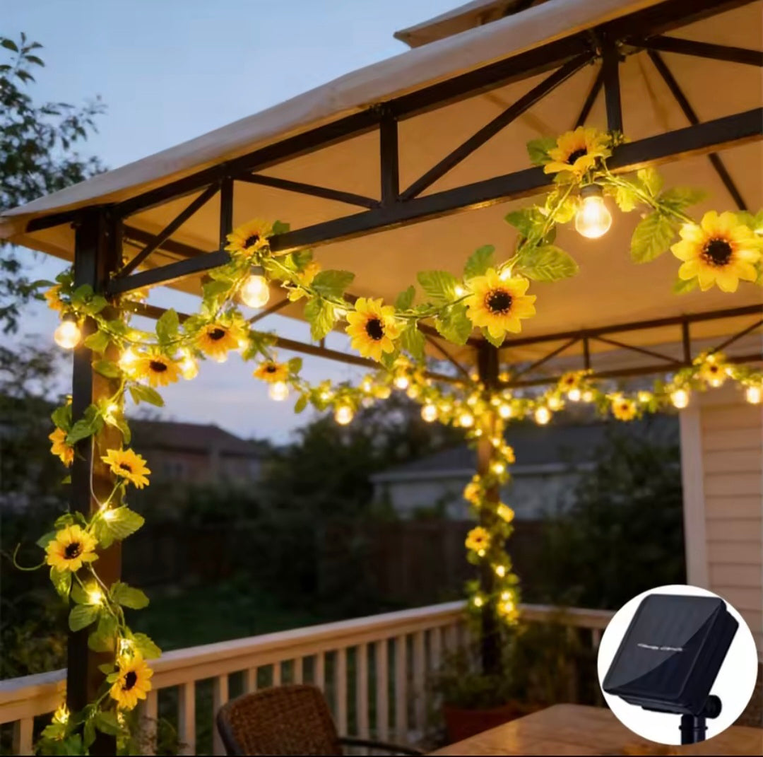 String Lights 5M