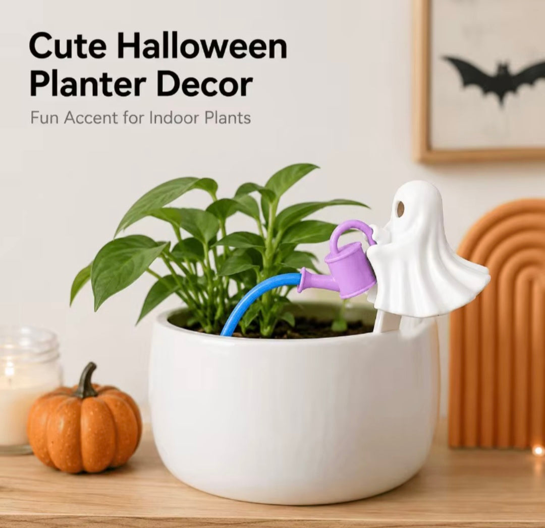 Ghost Plant Pot Decoration