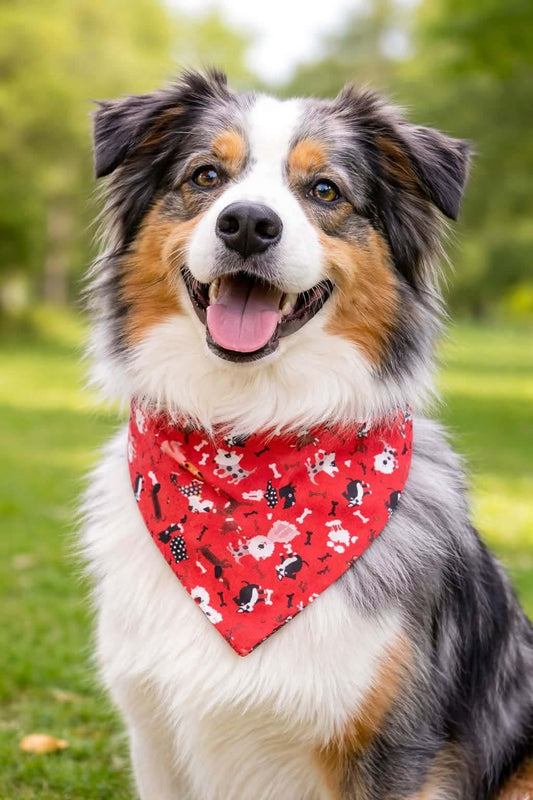 Elasticated Dog Bandana