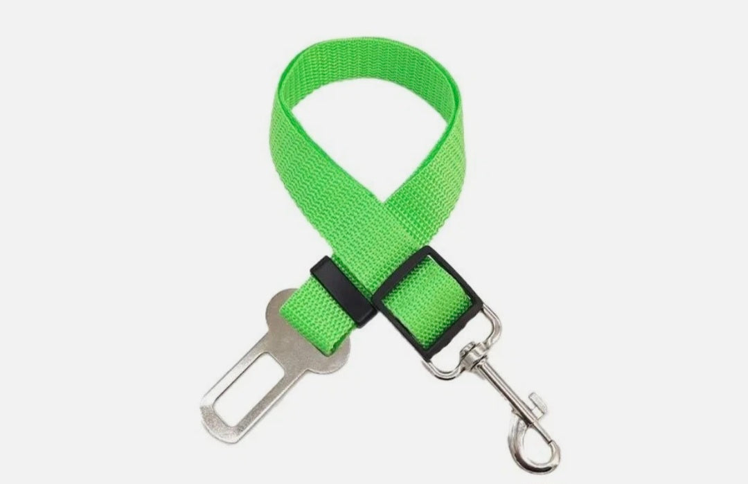 Dog Seat Belt