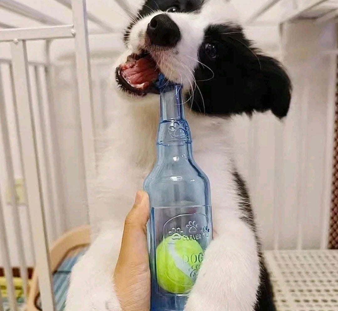 Plastic Bottle With Ball Dog Toy