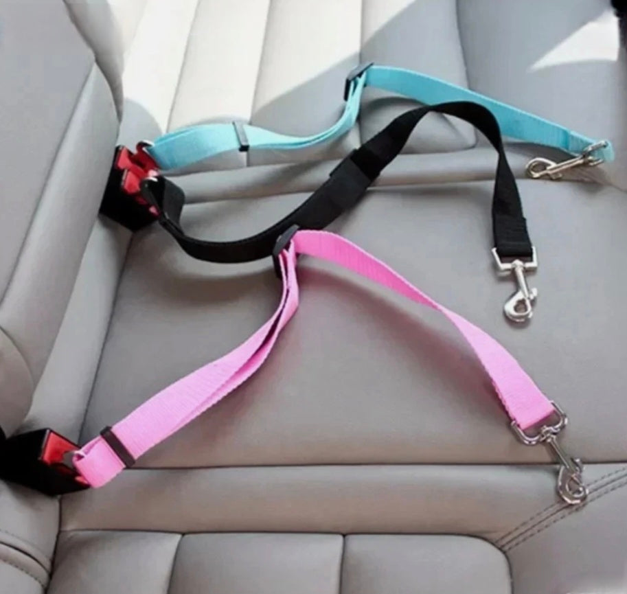 Dog Seat Belt
