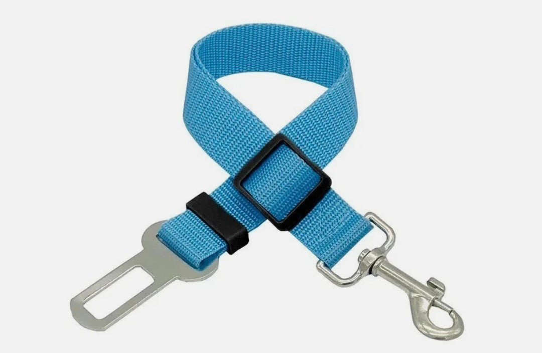 Dog Seat Belt