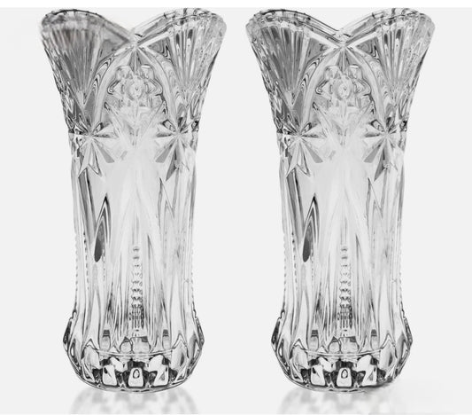 Set Of 2 Glass Vases