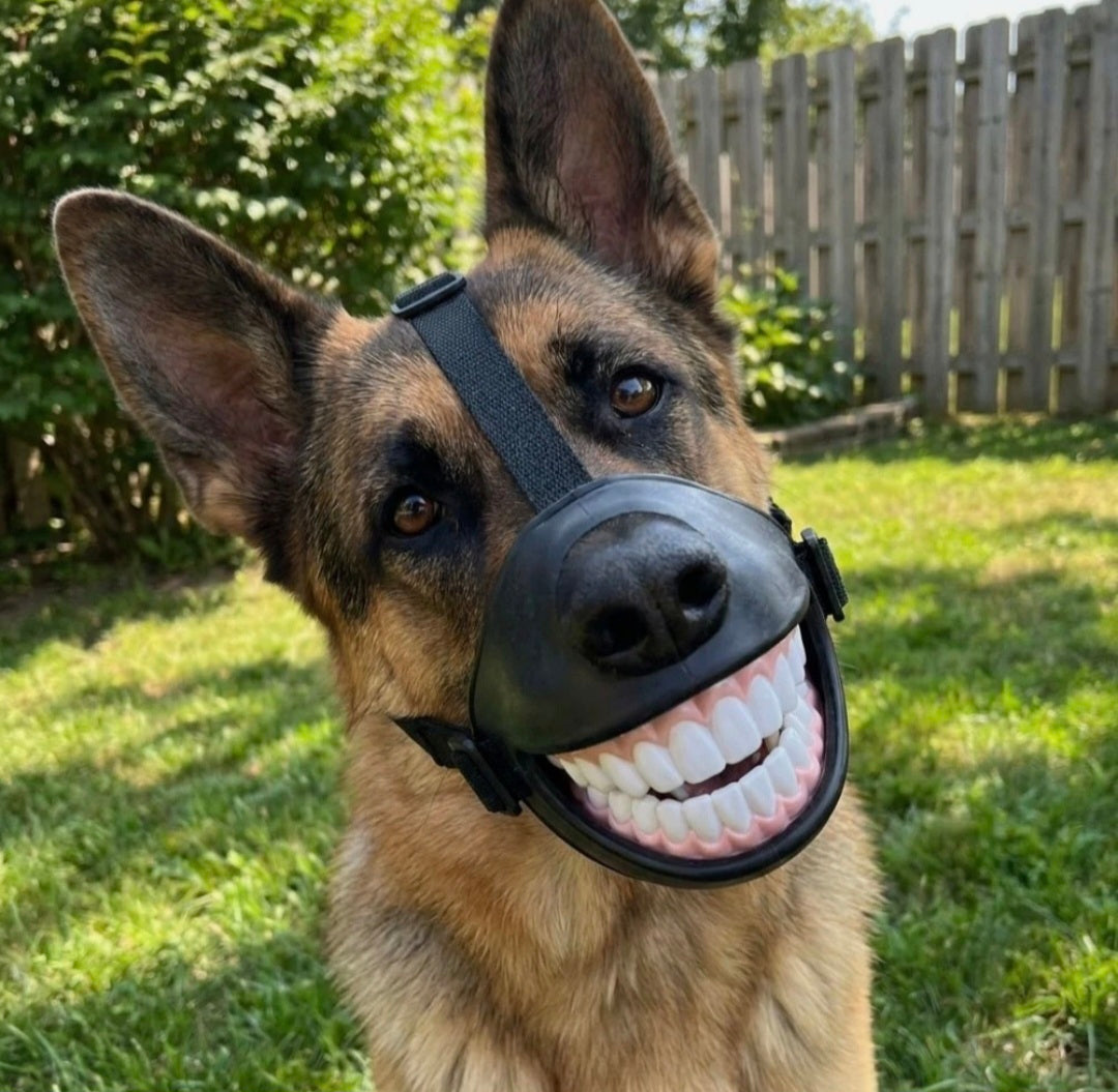 Dog Muzzle