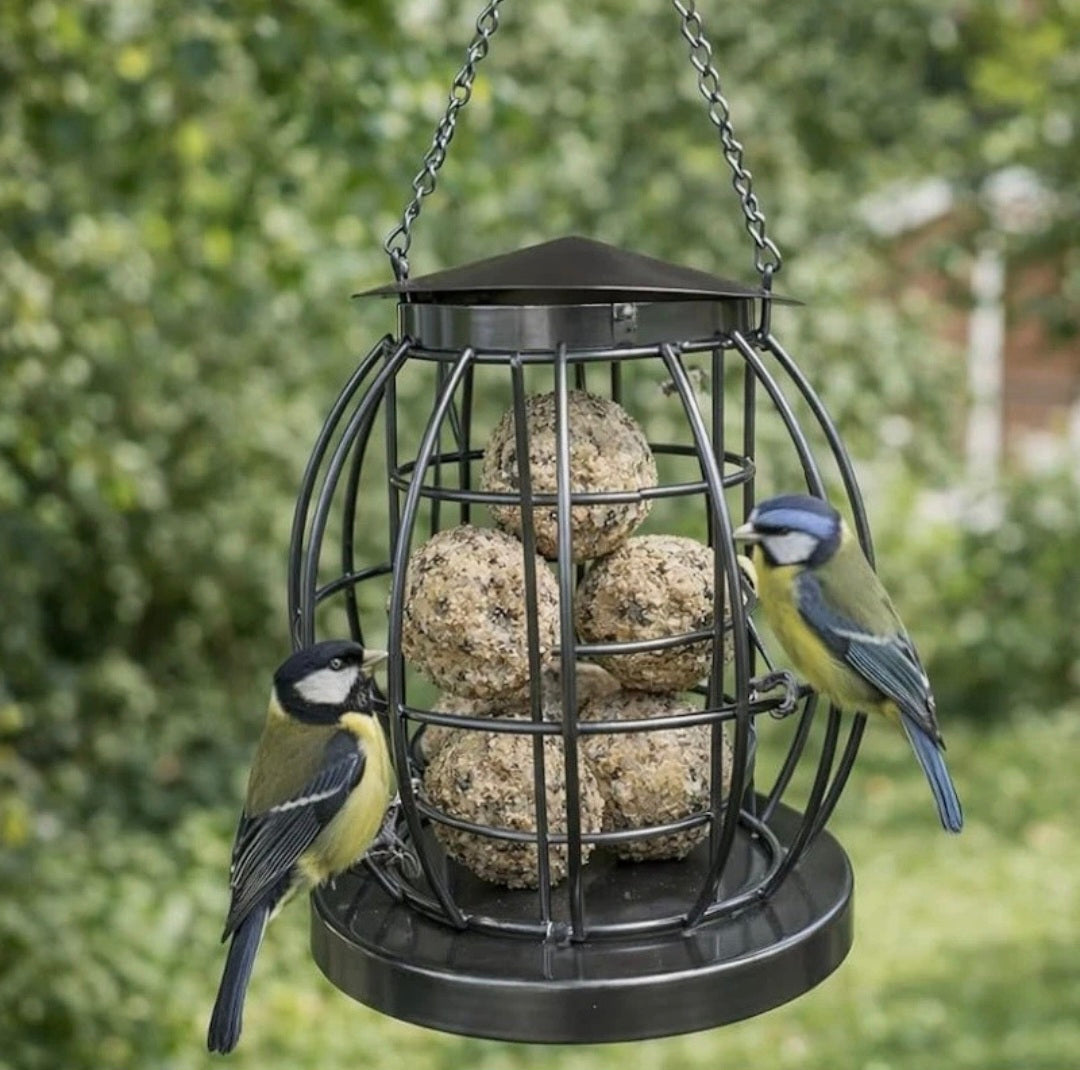 Bird Feeder