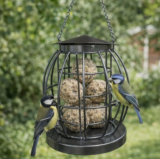 Bird Feeder