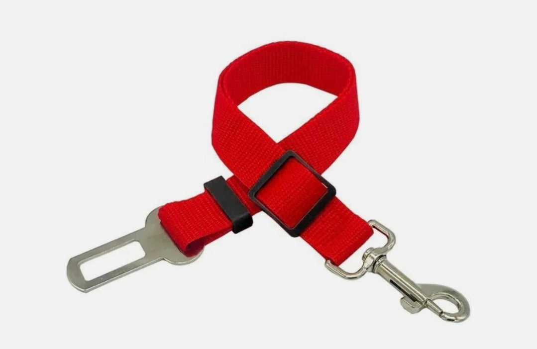Dog Seat Belt