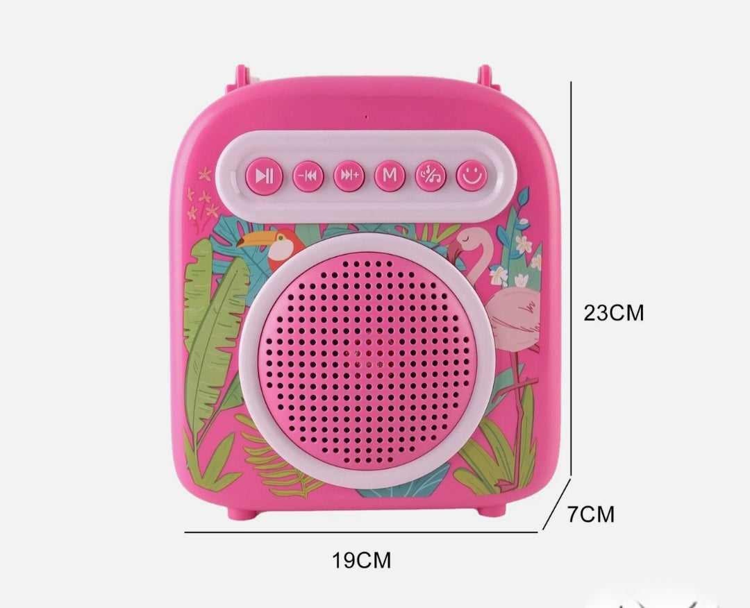 Kids Bluetooth Karaoke With 2 Microphones