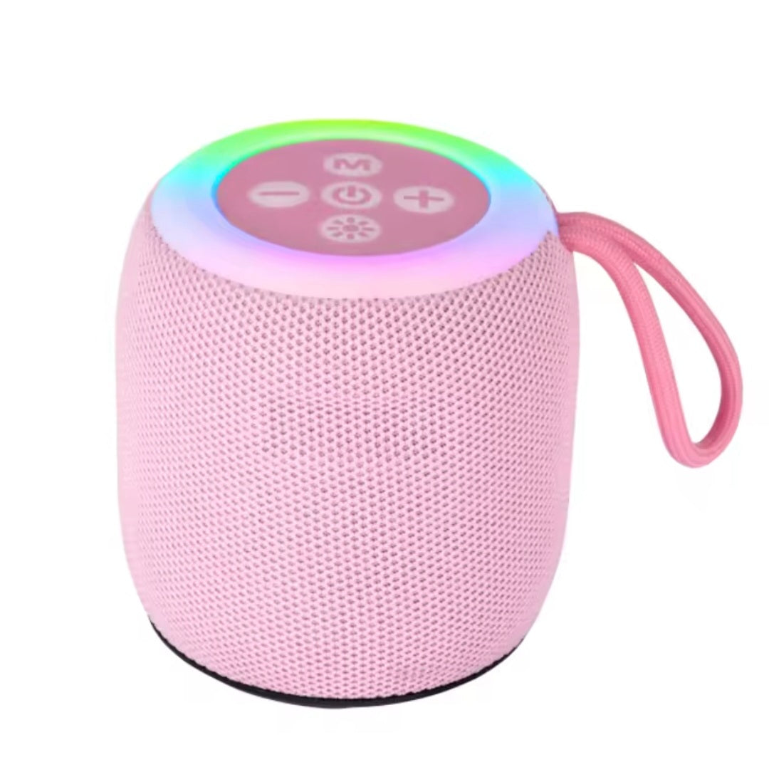Portable Bluetooth Speaker