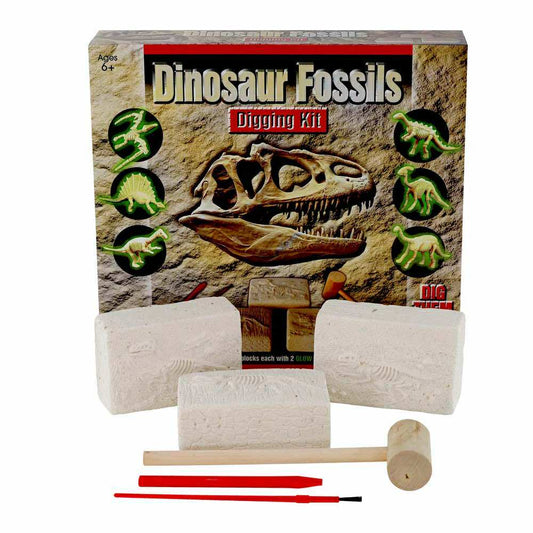 Dinosaur Fossils Kit
