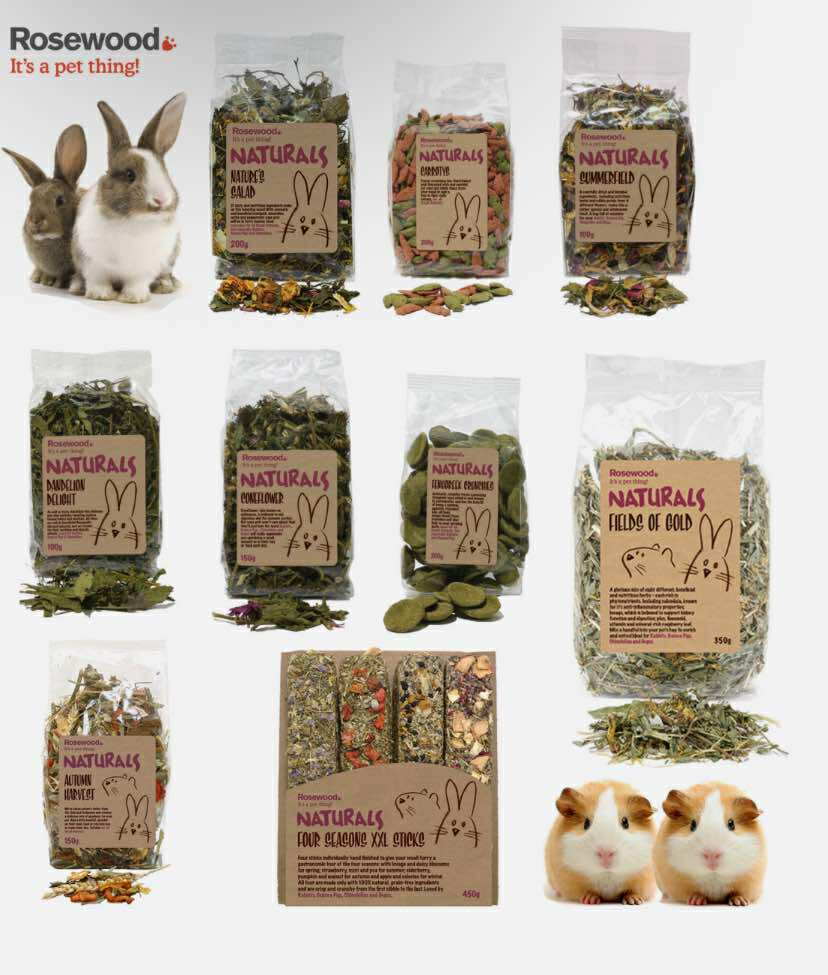 Rabbit Treats