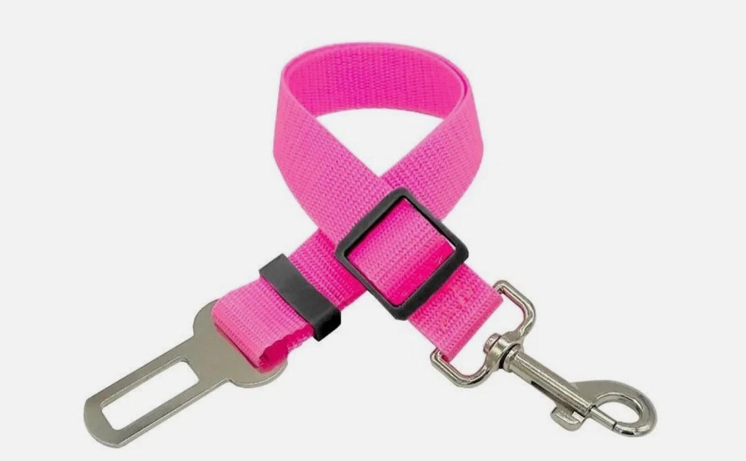 Dog Seat Belt