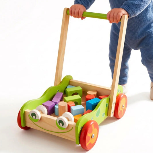 Baby Walker with Blocks