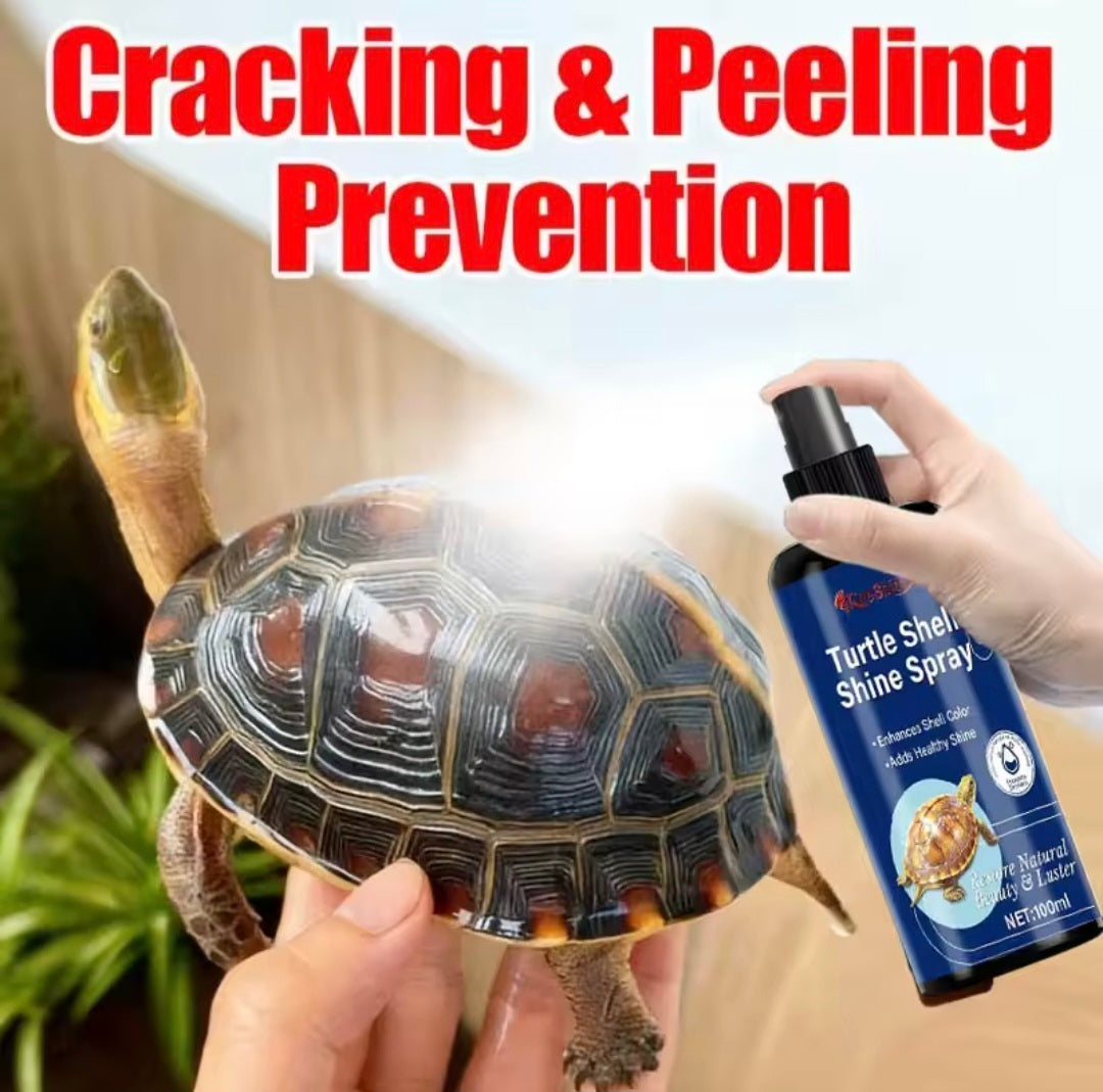 Turtle Shell Spray